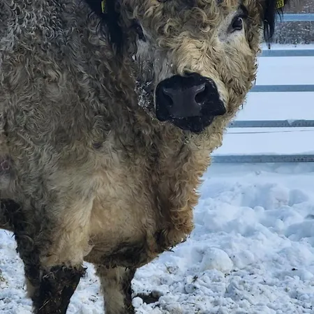 Haggner Hideaway Apartman Sankt Sigmund im Sellrain