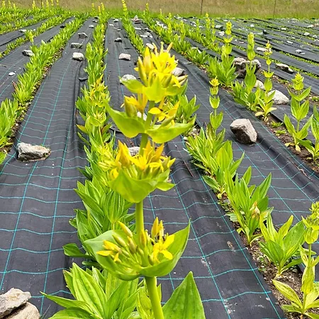 Haggner Hideaway Sankt Sigmund im Sellrain