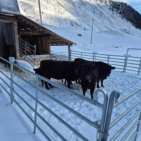 Haggner Hideaway * Sankt Sigmund im Sellrain