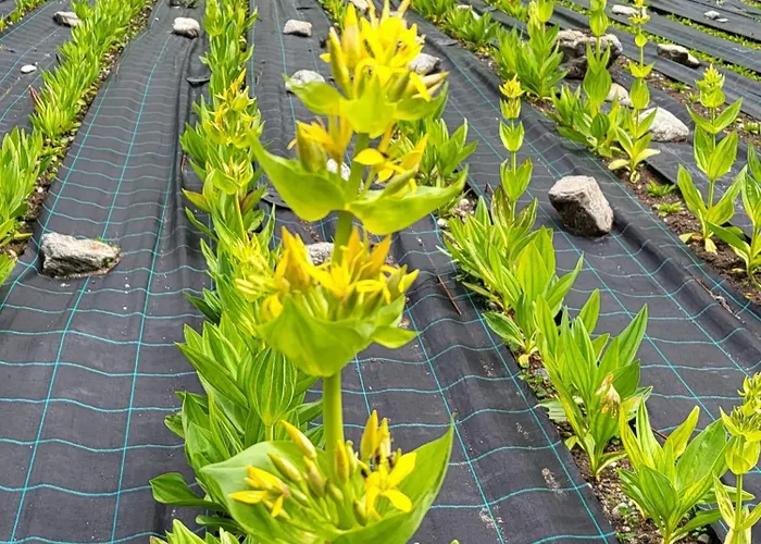 Haggner Hideaway Sankt Sigmund im Sellrain