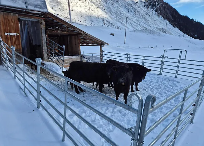 Haggner Hideaway * Sankt Sigmund im Sellrain