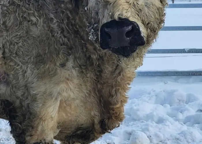 Haggner Hideaway Appartamento Sankt Sigmund im Sellrain